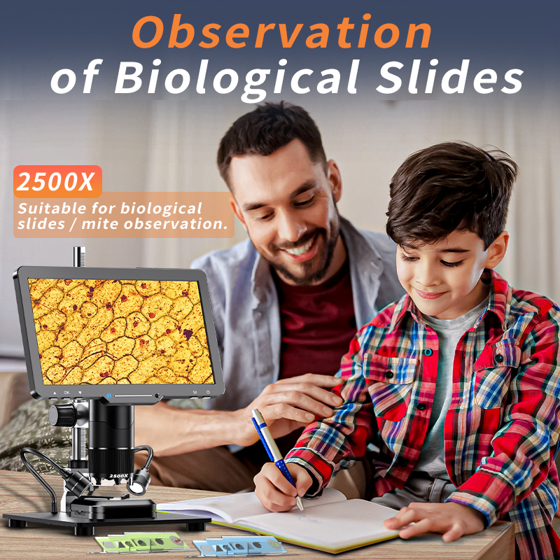 2500X HDMI Digital Microscope  - đánh giá và giá Diy Electronics Videos